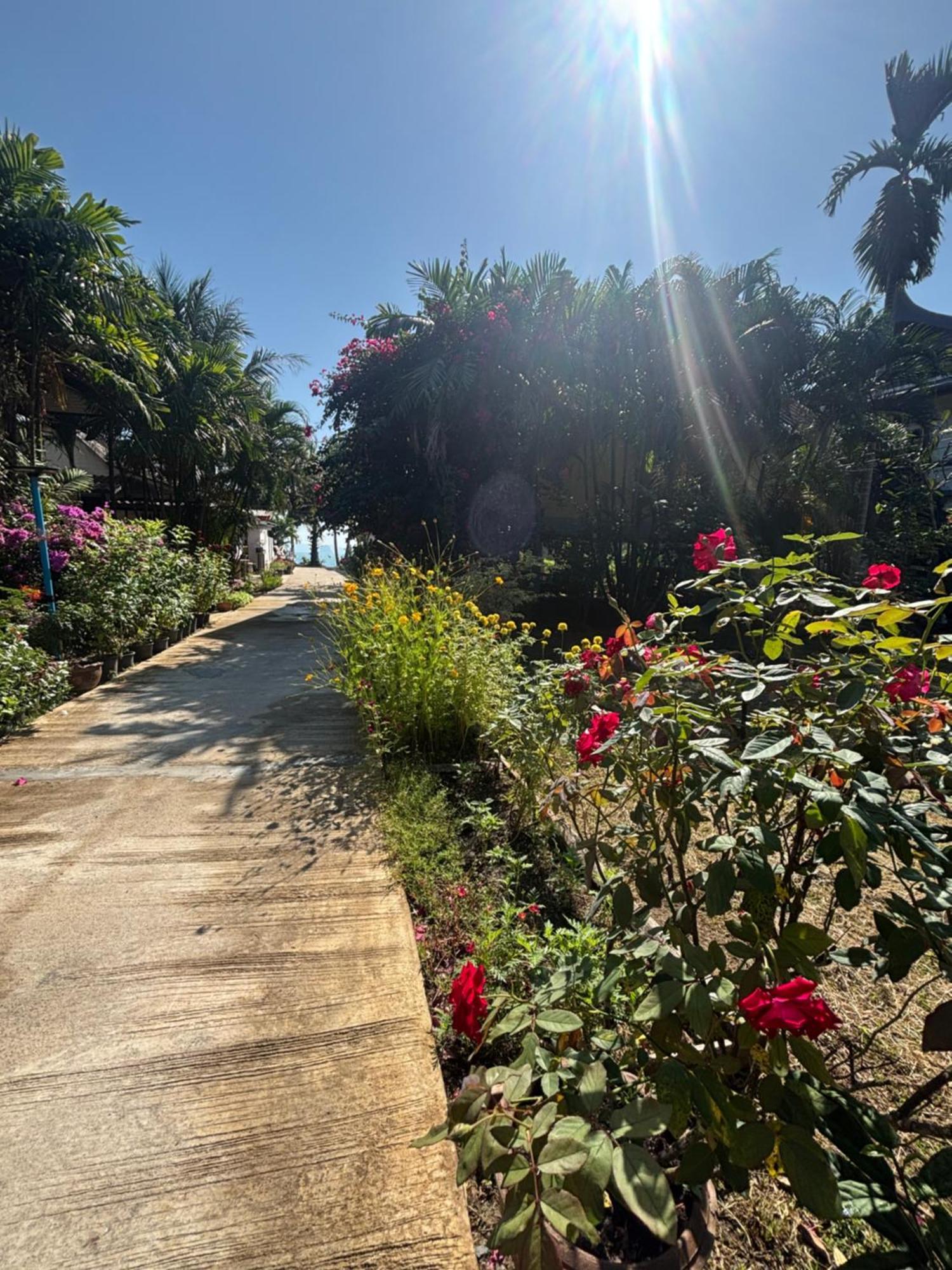 Mookdaman Bungalow Ko Yao Noi Buitenkant foto